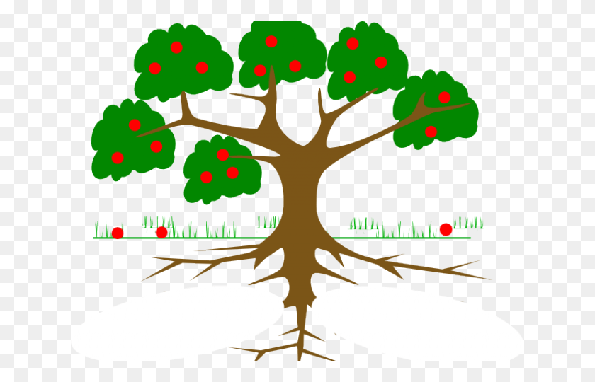 640x480 Tree With Roots, Plant, Leaf, Text HD PNG Download