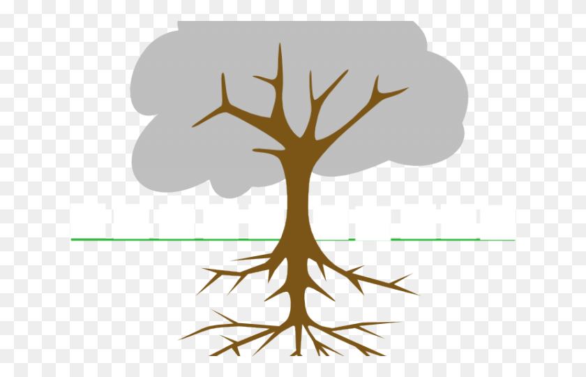 640x480 Árbol Con Raíces, Planta, Raíz Hd Png