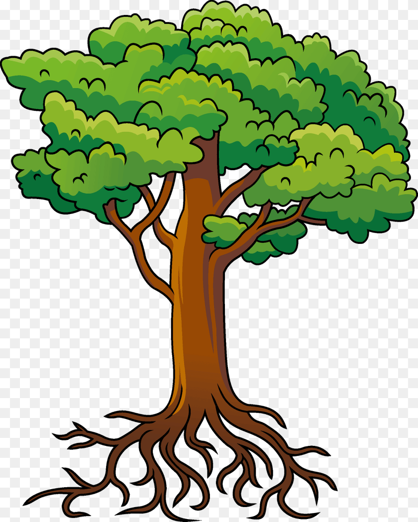1537x1920 Tree With Roots Clipart, Plant, Vegetation, Cross, Symbol Transparent PNG