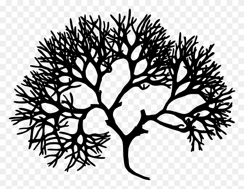 2400x1818 Tree With Roots Silhouette Irish Moss, Gray, World Of Warcraft HD PNG Download