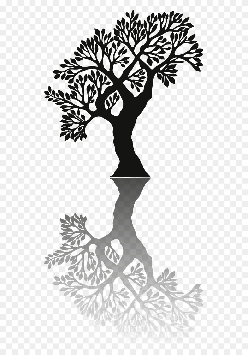 544x1139 Tree With Shadow Silhouette, Stencil, Plant, Hand HD PNG Download
