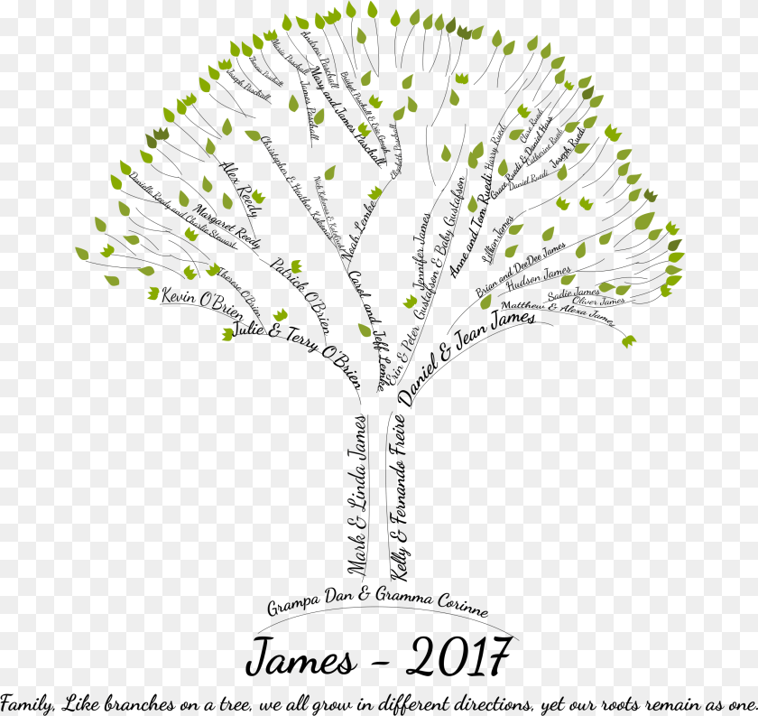 2307x2178 Tree With Word Branches, Plant, Nature, Night, Outdoors Transparent PNG