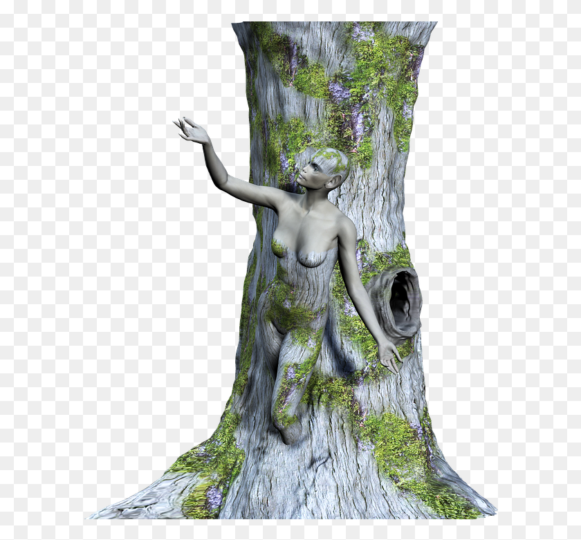 604x721 Дерево Вуд Женщина Фэнтези Заключенный 3D Stock.xchng, Фигурка, Скульптура Hd Png Скачать