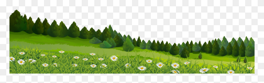 8001x2101 Trees And Grass HD PNG Download