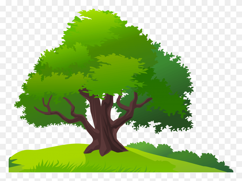 5788x4223 Trees And Grass Clipart, Tree, Plant, Green HD PNG Download