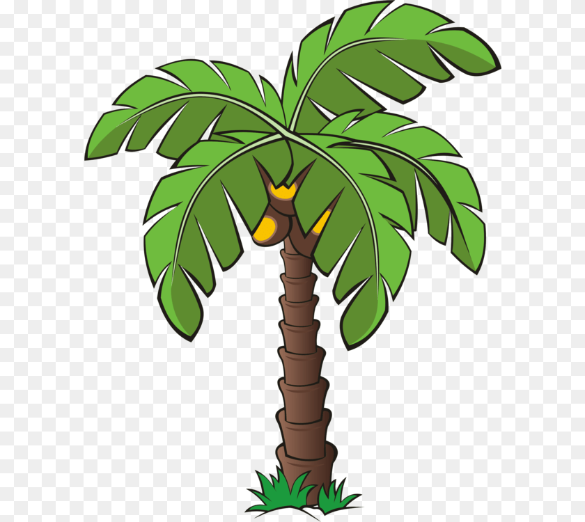 599x750 Trees And Plants Clipart, Palm Tree, Plant, Tree, Vegetation Transparent PNG