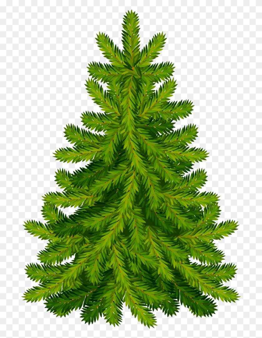 704x1024 Trees Christmas Tree, Tree, Plant, Ornament HD PNG Download