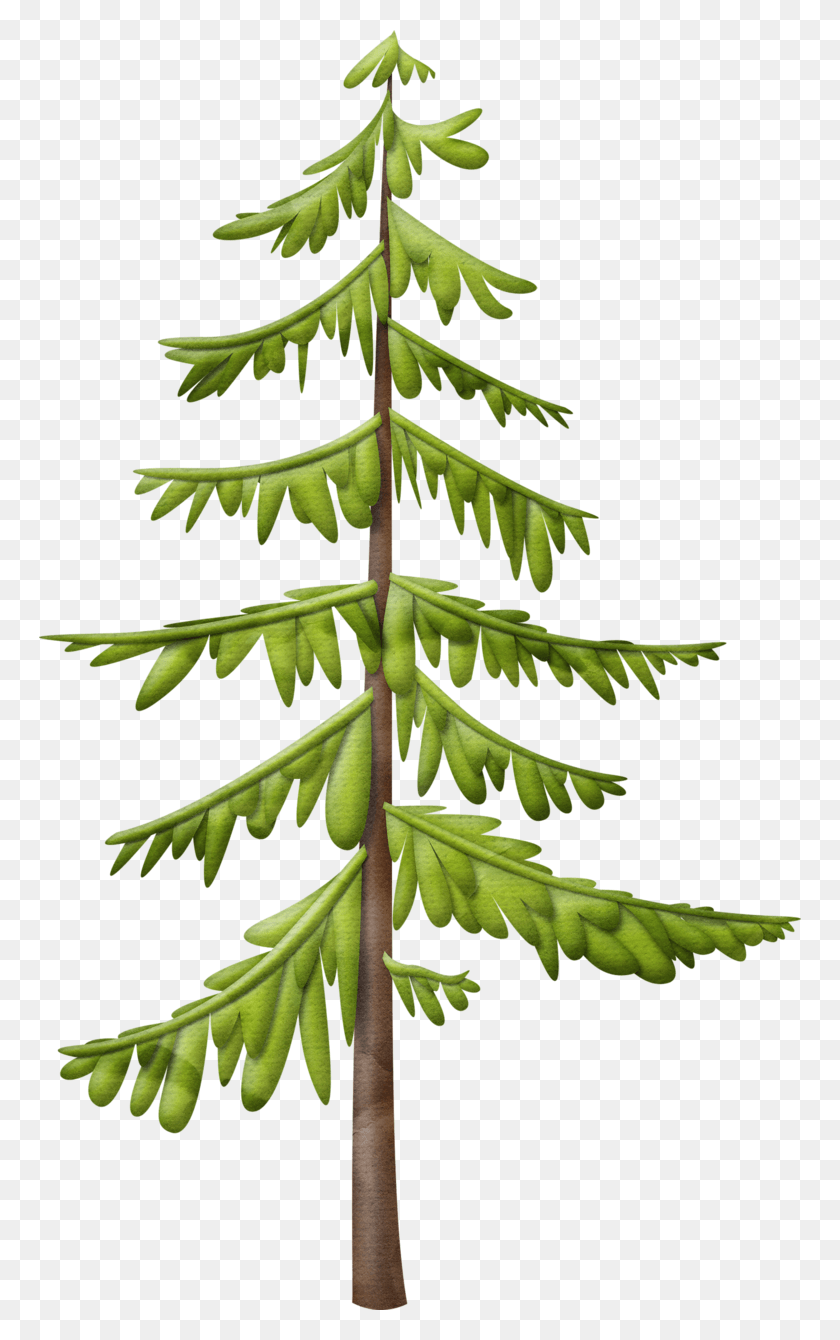 762x1280 Trees Christmas Tree, Tree, Plant, Conifer HD PNG Download