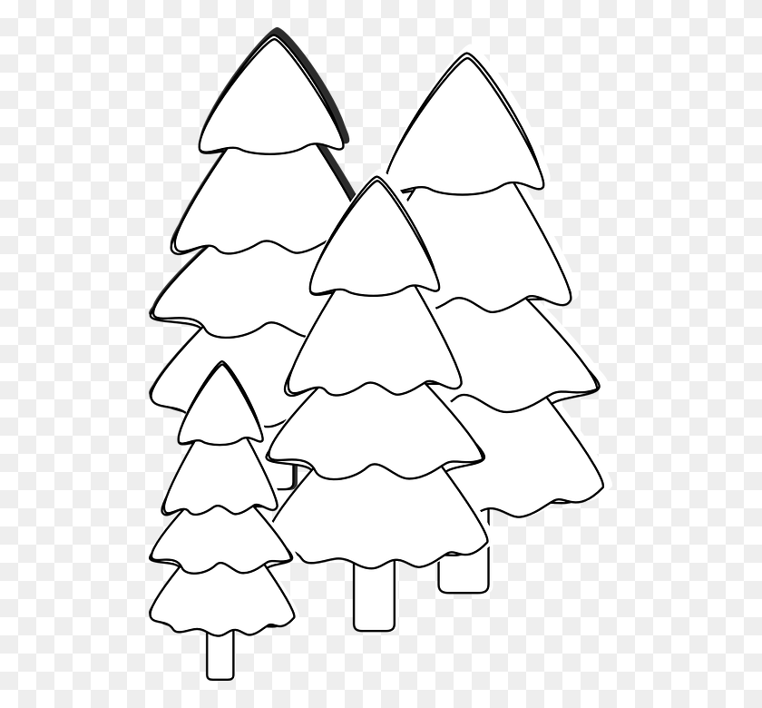 511x720 Trees Fir White Black Outline Snow Winter Group Sketsa Gambar Pohon Cemara, Tree, Plant, Ornament HD PNG Download