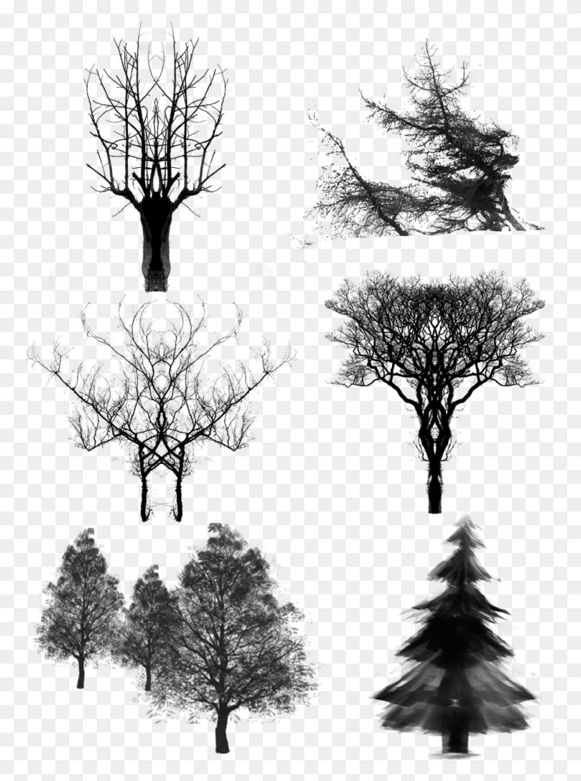 992x1362 Trees Ink Dead Wood And Psd Christmas Tree, Gray, World Of Warcraft HD PNG Download