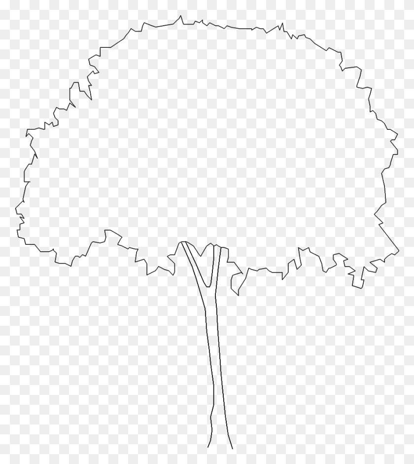 887x1001 Trees Line Art, Outdoors, Nature, Astronomy HD PNG Download