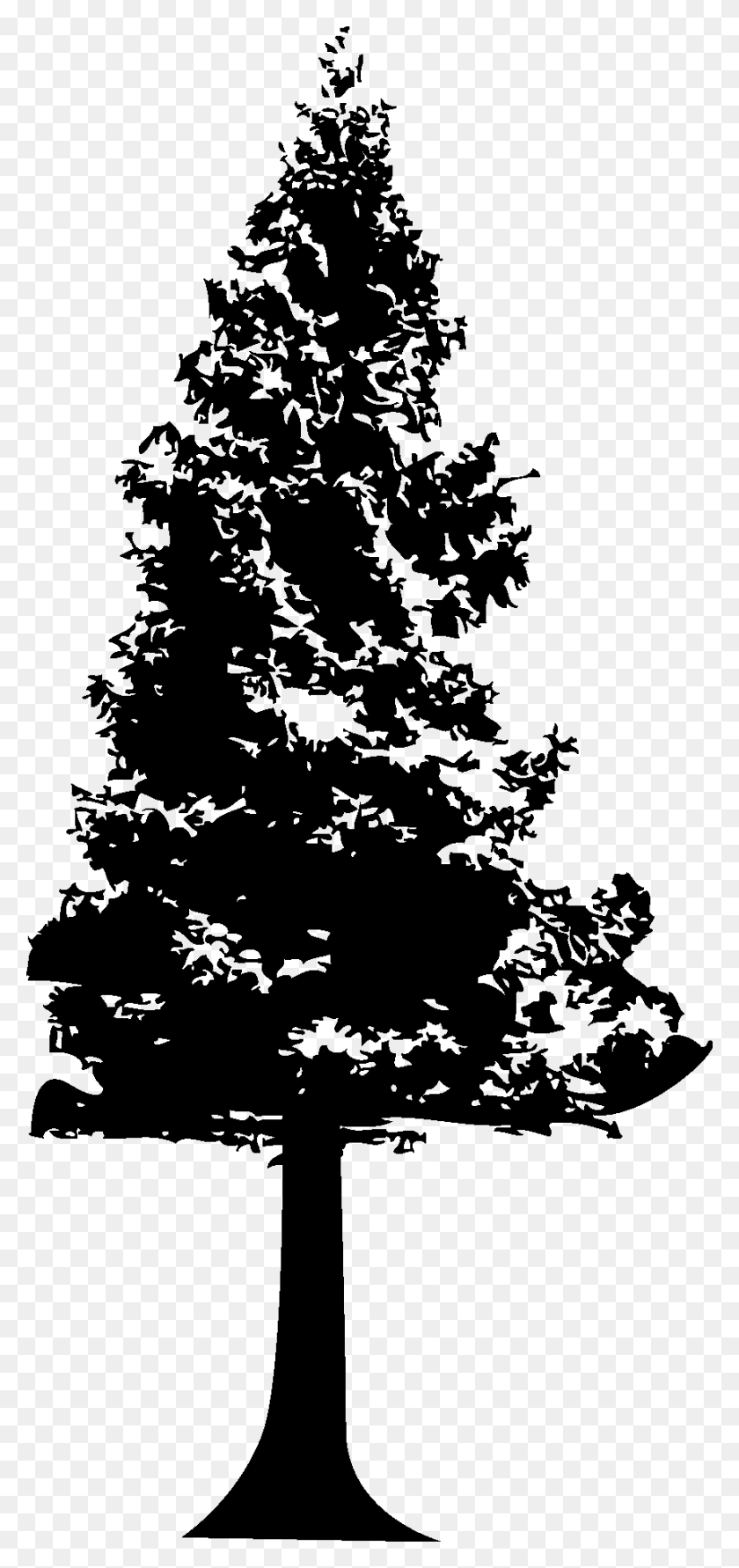 860x1899 Trees Silhouette 01 Photography, Christmas Tree, Tree, Ornament HD PNG Download