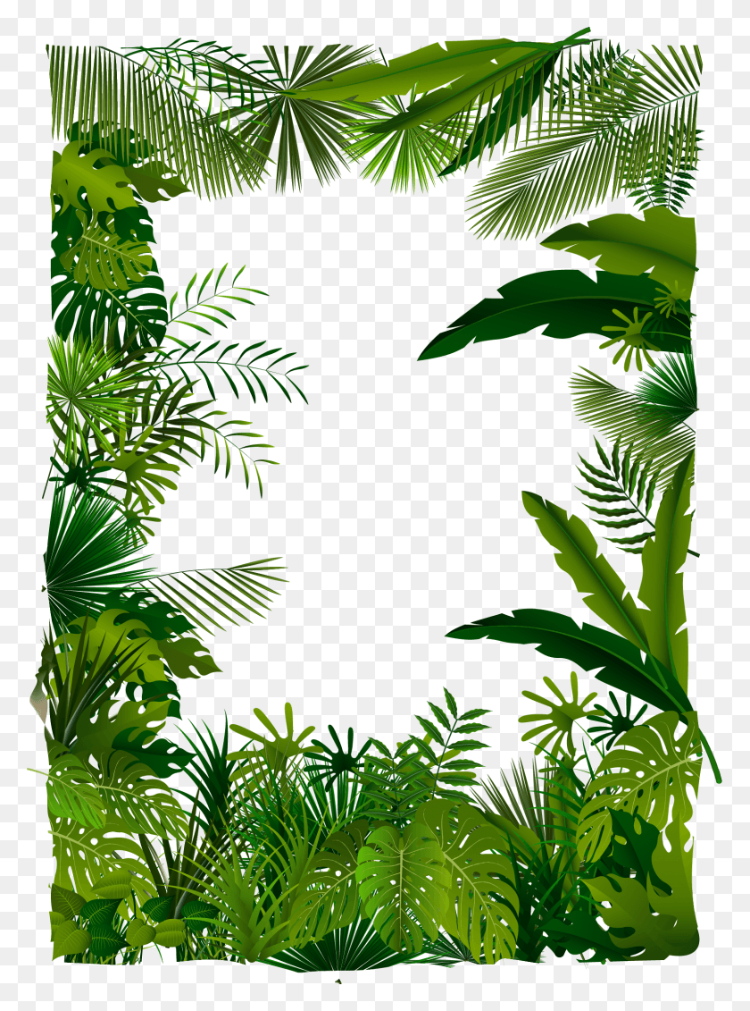 1591x2186 Trees Tree Illustration Tropical Euclidean Vector Forest Tropical Forest, Vegetation, Plant, Rainforest HD PNG Download