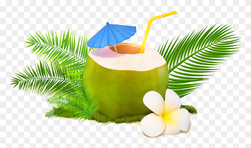 2801x1565 Trendy Coconut Coconut Water, Plant, Nut, Vegetable HD PNG Download