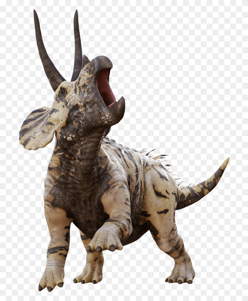 718x958 Triceratops, Dinosaur, Reptile, Animal HD PNG Download