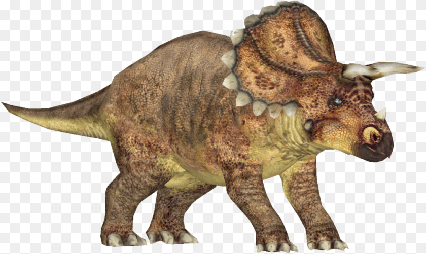 1005x600 Triceratops, Animal, Dinosaur, Reptile, T-rex Clipart PNG