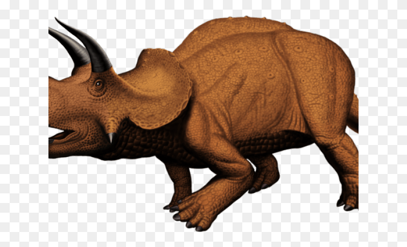 641x451 Triceratops Clipart Dinosaur Animal Figure, Elephant, Wildlife, Mammal HD PNG Download