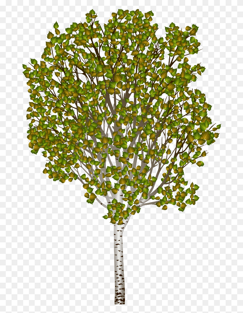 692x1025 Trigger Rally Discussion Open Transparent Background Plane, Plant, Tree, Fungus HD PNG Download