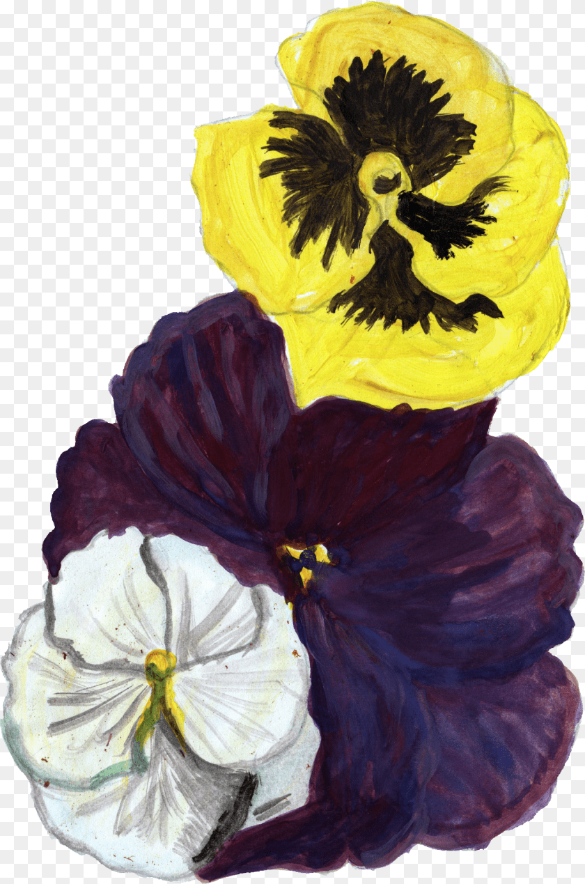 1269x1917 Trillium, Flower, Plant, Pansy, Person Clipart PNG