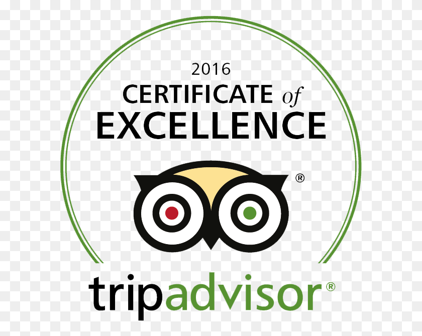 601x609 Tripadvisor Certificate Of Excellence 2017, Text, Flyer, Poster HD PNG Download