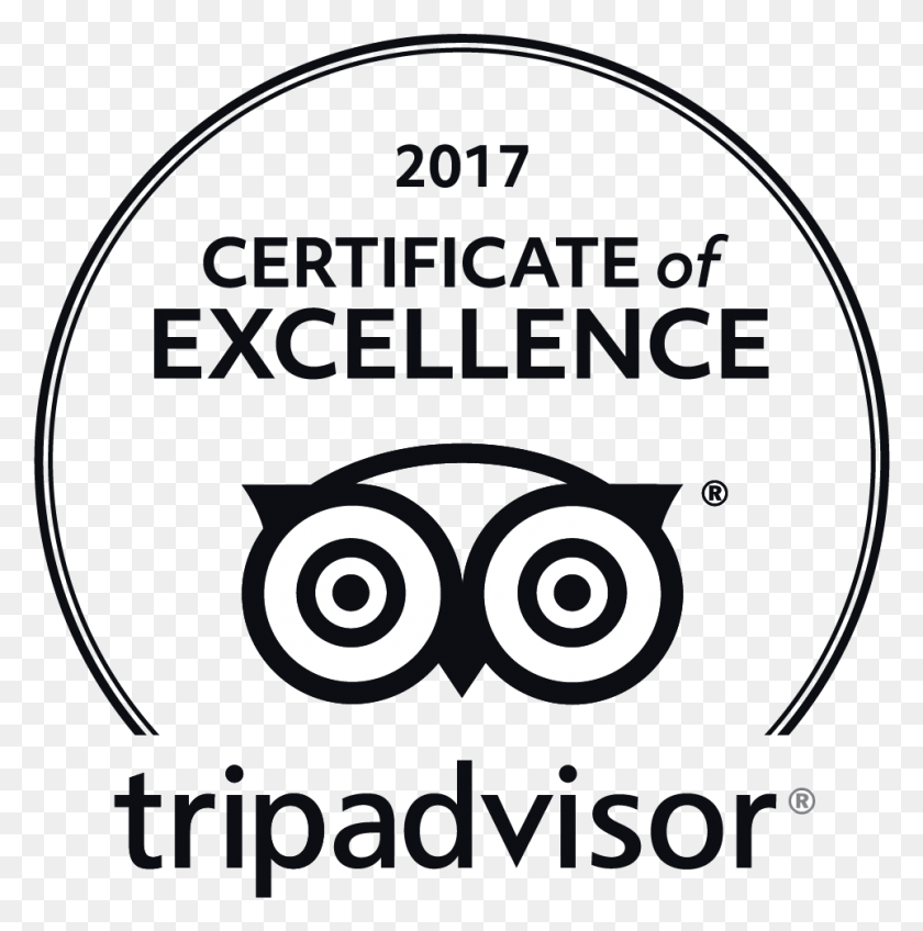 962x973 Tripadvisor Certificate Of Excellence 2018, Disk, Dvd, Label HD PNG Download