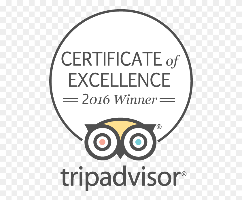 500x633 Tripadvisor Certificate Of Excellence Circle, Poster, Advertisement, Label HD PNG Download