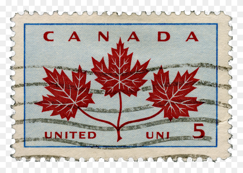 1832x1264 Png Кленовый Лист Канада