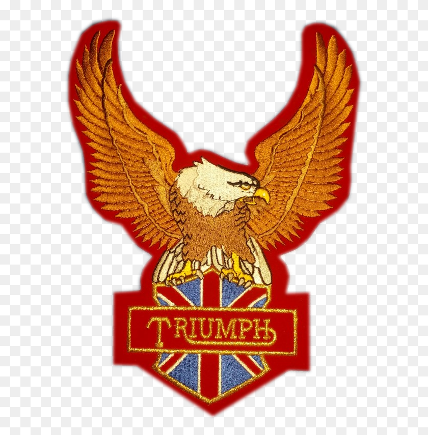 590x795 Мотоцикл С Нашивкой Triumph Eagle, Логотип, Символ, Товарный Знак Hd Png Скачать