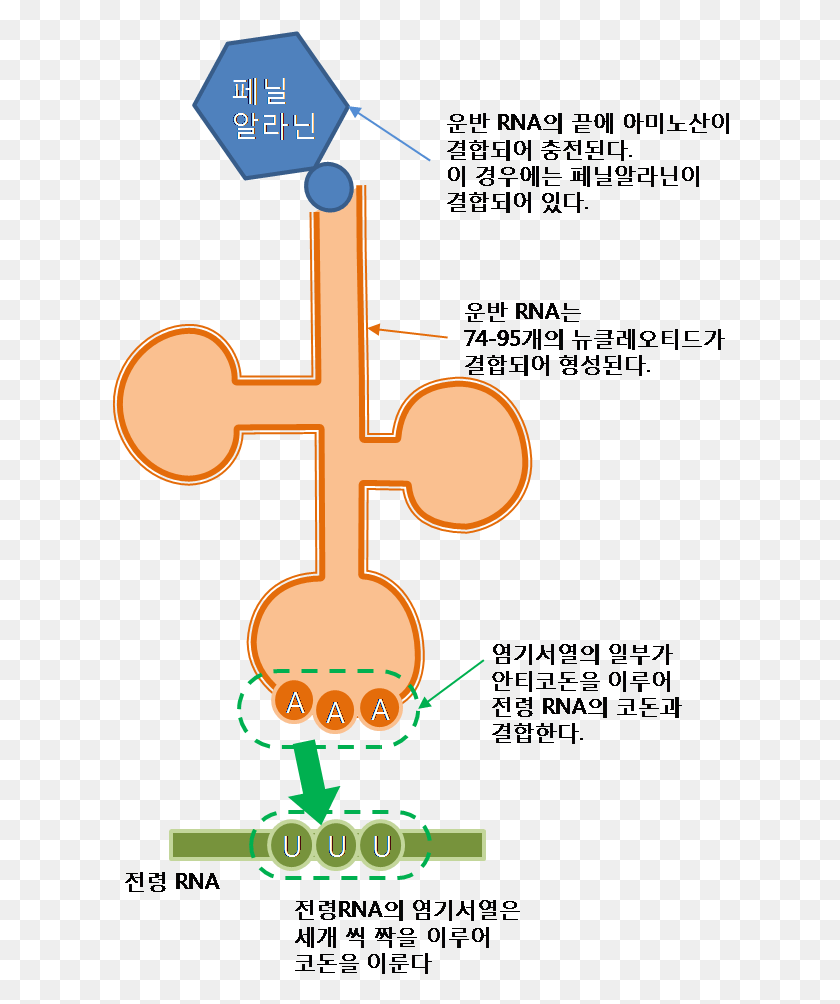 618x944 Trna Illustration Korean Trna Transparent, Cross, Symbol, Text HD PNG Download