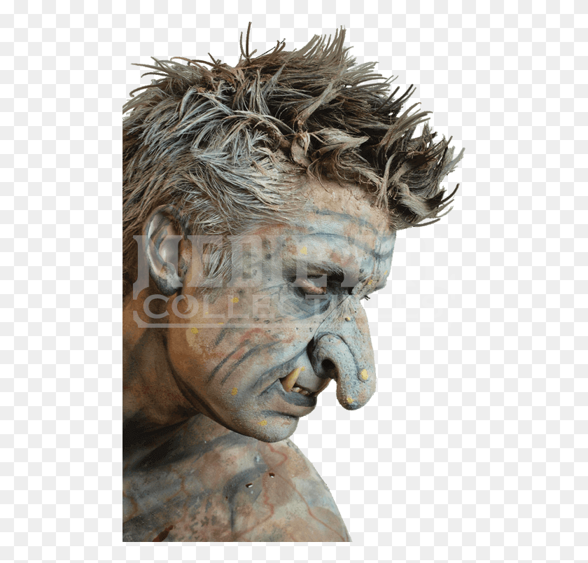 491x744 Troll Nose, Head, Face, Person HD PNG Download