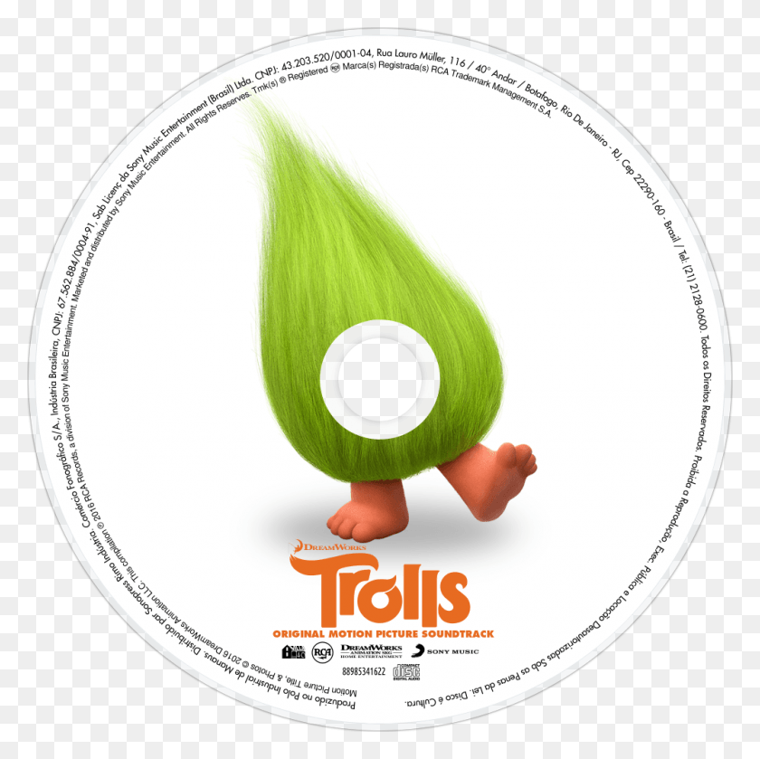 1000x1000 Trolls Cd Disc Image Poster, Plant, Text, Dvd HD PNG Download