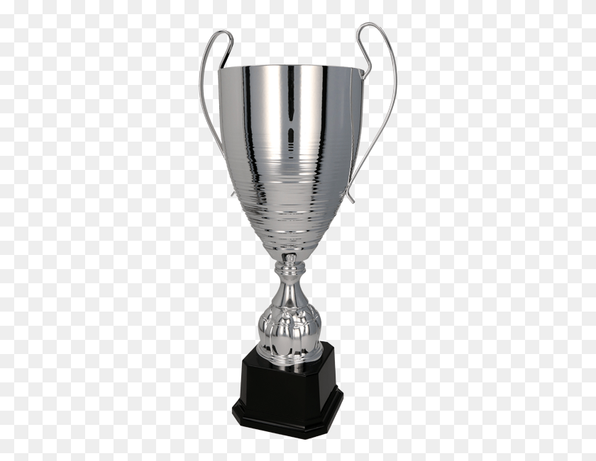 281x591 Trophy, Mixer, Appliance HD PNG Download