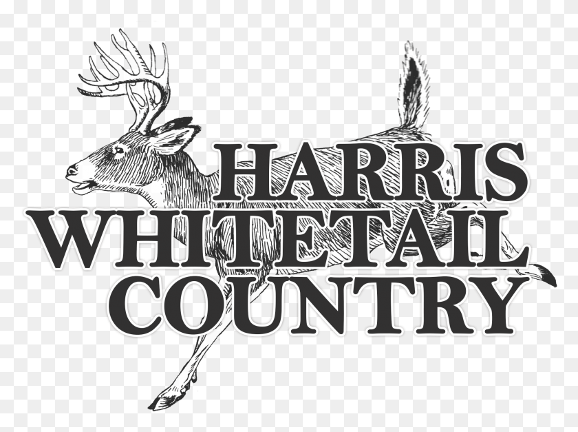 1923x1398 Descargar Png Trofeo Texas Whitetail Hunts Ciervos Clip Art, Texto, Cartel, Publicidad Hd Png