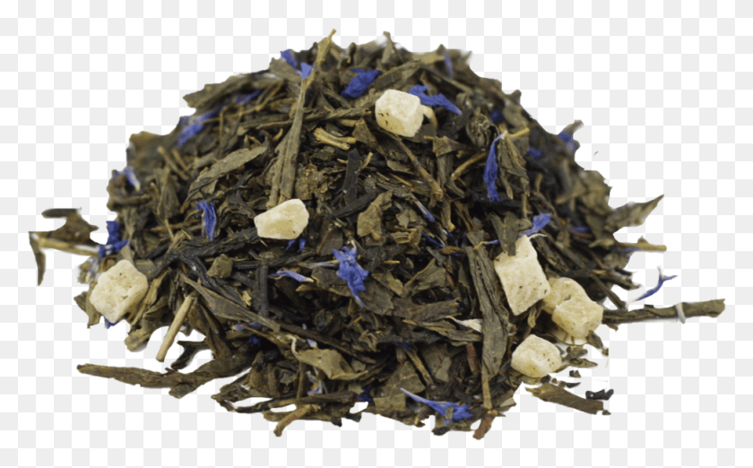 973x577 Тропический Зеленый Чай Однолетнее Растение, Ваза, Банка, Керамика Hd Png Скачать