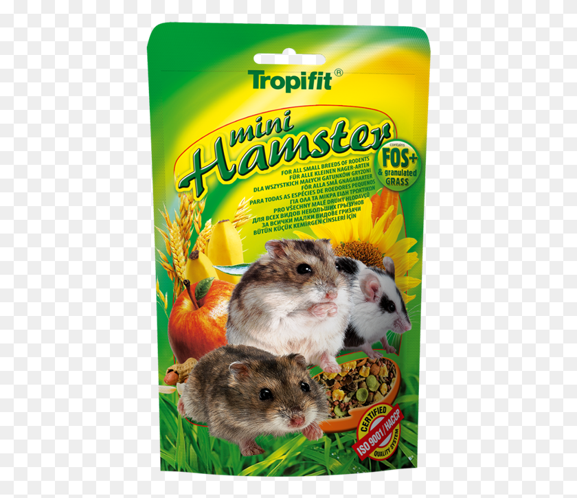 416x665 Tropical, Rodent, Mammal, Animal HD PNG Download