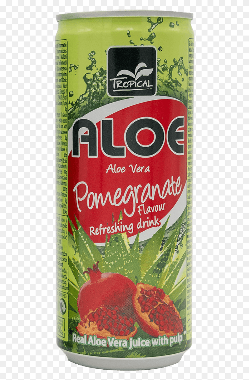 476x1223 Tropical Alo Vera Pomegranate Pomegranate, Tin, Can, Plant HD PNG Download