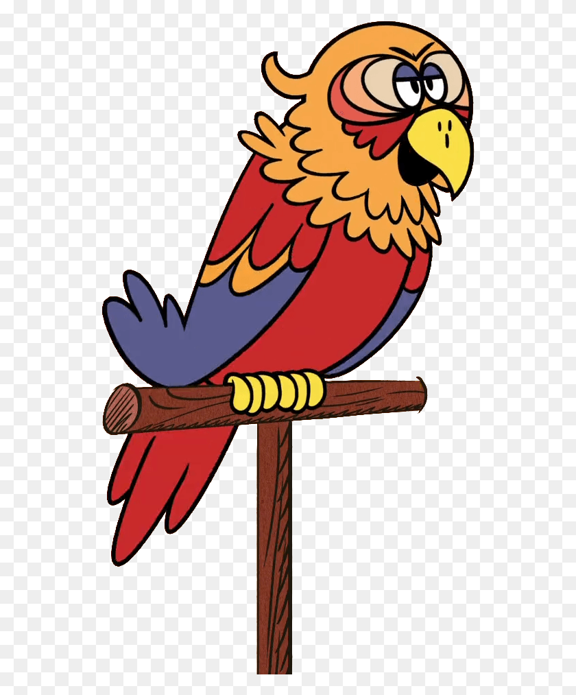 544x953 Tropical Birds Vectors Macaw, Animal, Bird, Parrot HD PNG Download