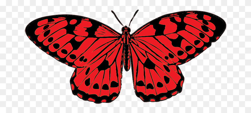 676x320 Tropical Butterfly Image Red And Black Butterfly Clipart Green Yellow And Blue Butterfly, Insect, Invertebrate, Animal HD PNG Download