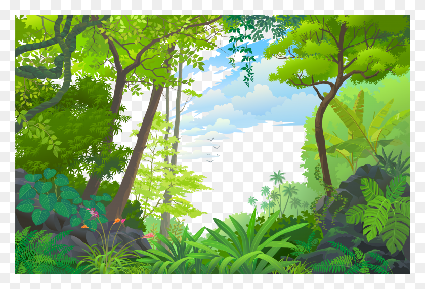 4959x3250 Tropical Euclidean Vector Jungle Rainforest Landscape Tropical Forest HD PNG Download