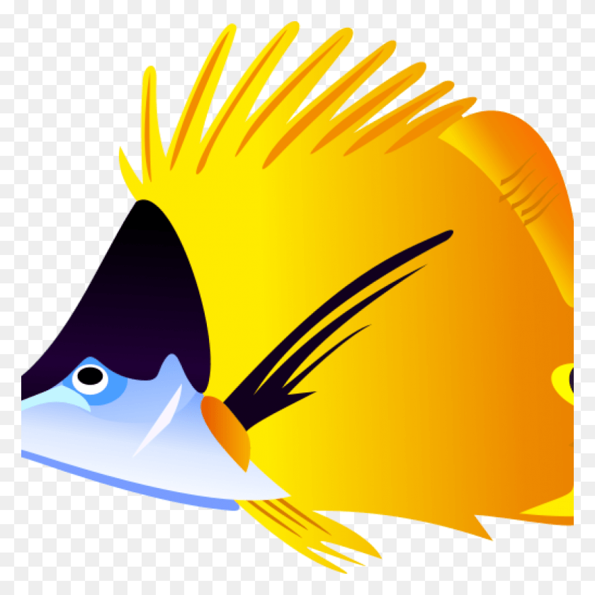 1024x1024 Tropical Fish Cartoon, Fish, Animal, Sea Life HD PNG Download