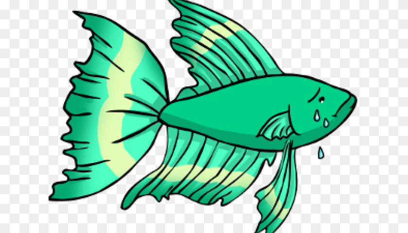 Tropical Fish Clipart Betta Fish, Animal, Tuna, Sea Life, Adult Transparent PNG