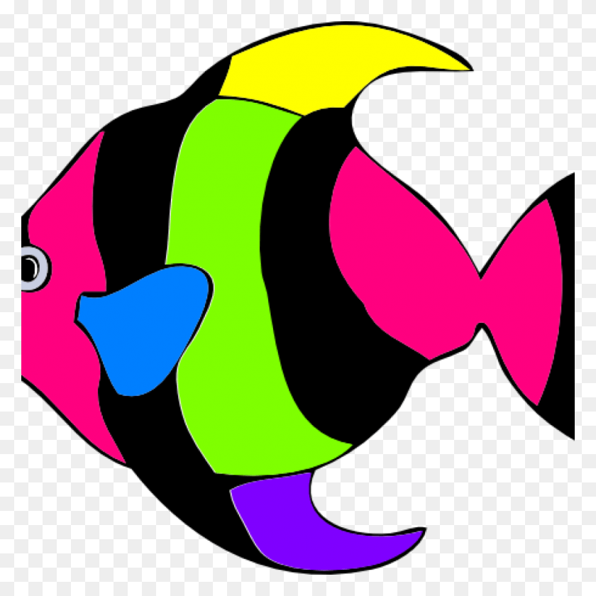 1024x1024 Peces Tropicales Png / Peces Tropicales Hd Png