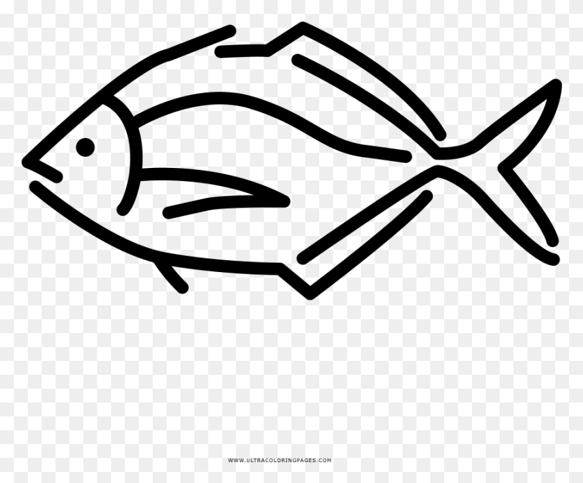867x708 Tropical Fish Coloring, Gray, World Of Warcraft HD PNG Download