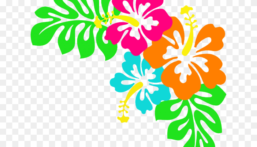 640x480 Tropical Flowers Cliparts Transparent Background Hawaiian Floral, Flower, Hibiscus, Plant, Baby Sticker PNG