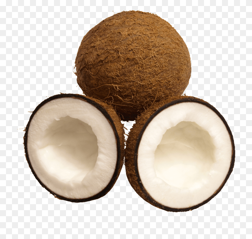 730x736 Tropical Fruit Coconut, Plant, Nut, Vegetable HD PNG Download