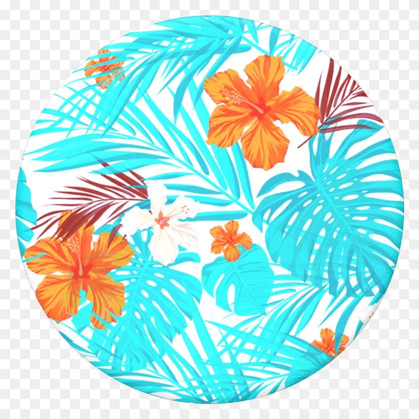 823x824 Tropical Hibiscus Popsockets Tropical Hibiscus Popsocket, Flower, Plant, Blossom HD PNG Download