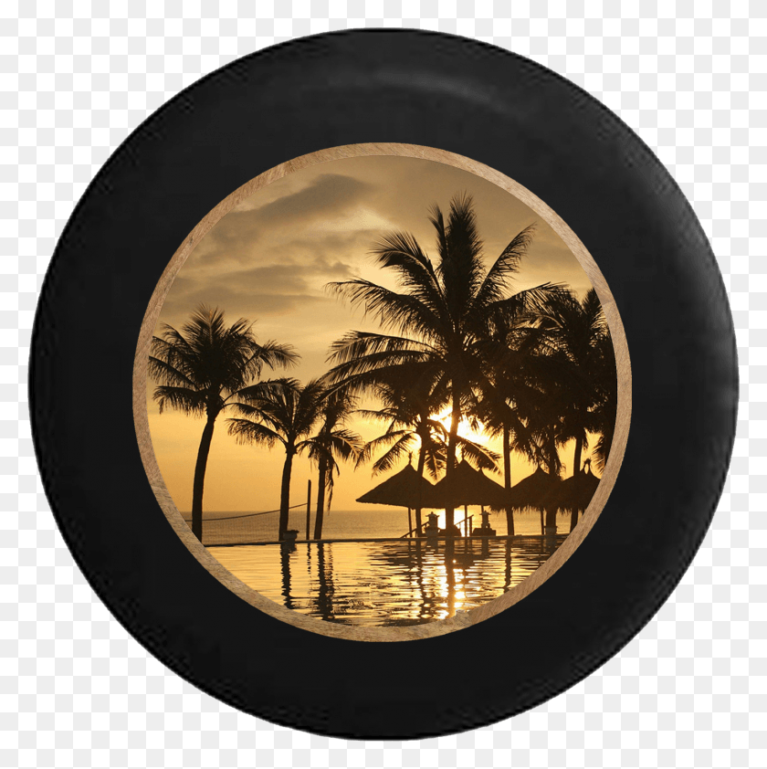 1427x1431 Tropical Island Beach Vacation Hut Palm Trees Rv Camper Palm Trees, Tree, Plant, Palm Tree HD PNG Download