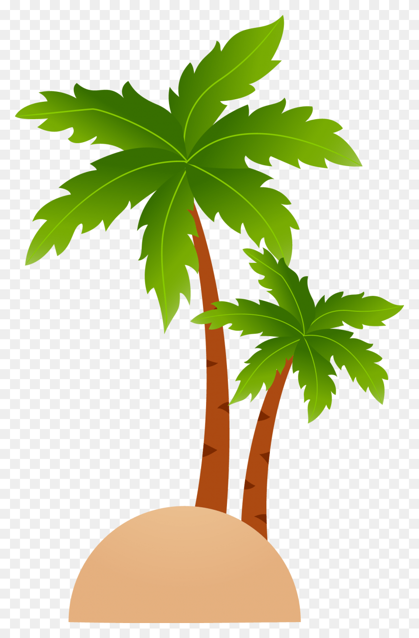 1250x1955 Tropical Islands Resort Cartoon Clip Art Coconut Tree Vector, Plant, Leaf, Tree HD PNG Download