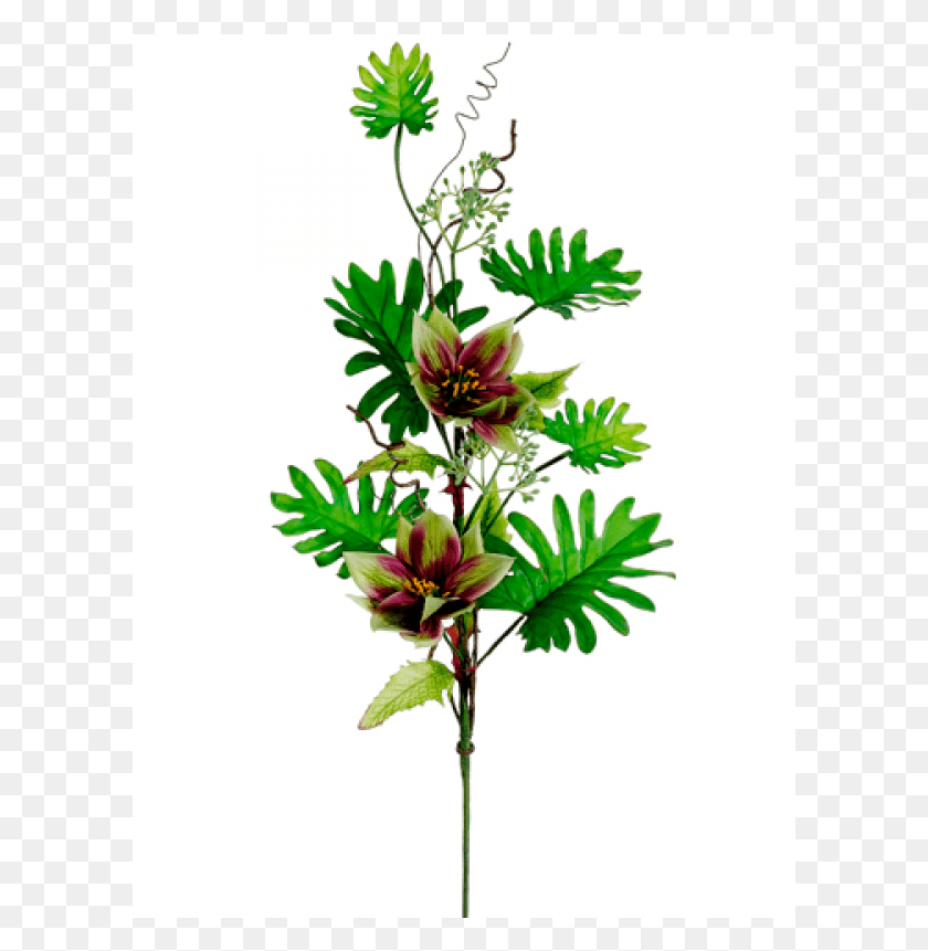 601x801 Tropical Lantern Philodendron Spray Green Burgundy Chrysanths, Floral Design, Pattern, Graphics HD PNG Download