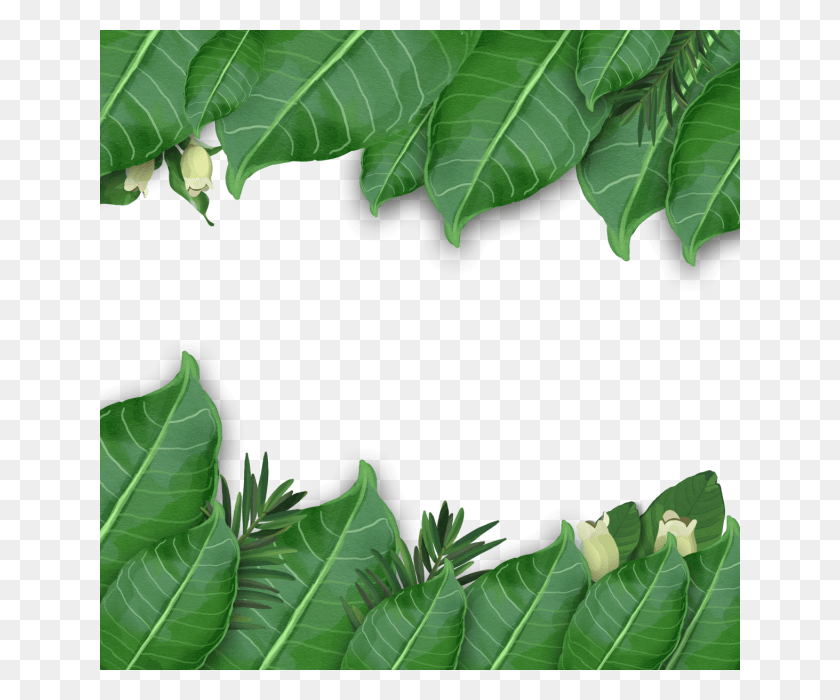 640x640 Tropical Leaf Arrangement Artistic Aquarelas Verao Arquivo Transparente, Plant, Green, Tree Descargar Hd Png